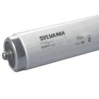fluorescent light bulb, 60 watts