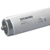 Fluorescent Light Bulb, 60 Watts
