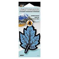 Automotive Air Freshener, Outdoor Breeze