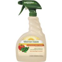 2884351 - OUTDOOR INSECT KILLER RTU 32OZ