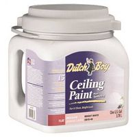 dirt fighter ceiling paint, 1 gal bright white