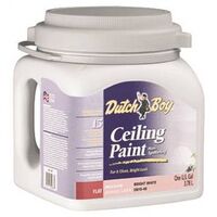 Dirt Fighter Ceiling Paint, 1 Gal Bright White