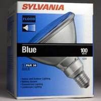 Blue Bulb, 100 Watt