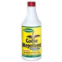 goose repellent, 1 qt concentrate