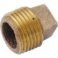 Brass Cored Plug, 1"