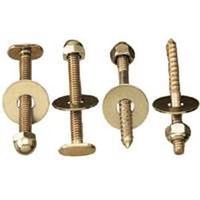 2992816 - TOILET BOLT & SCREW SET