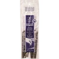 3085081-FABRIC & GARDEN STAPLES 10PK