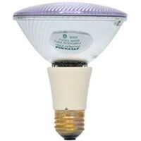 Day Light Flood with Halogen, 50 Watt