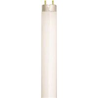fluorescent light bulb, 32w