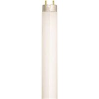 Fluorescent Light Bulb, 32W