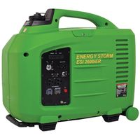 3193935 - 2600WATT INVERTER/GENERATOR