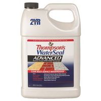 thompsons waterseal advanced, 1 gal