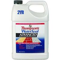 thompsons waterseal advanced, 1 gal