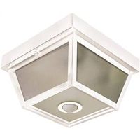 motion activated ceiling light, white