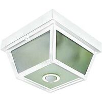 Motion Activated Ceiling Light, White