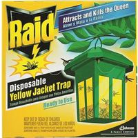 raid yellow jacket trap