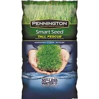 3385499 - SEED/TALL FESCUE BLEND 20#