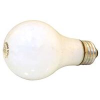 Rough Service Bulb, 100 Watt