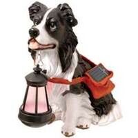 Border Collie Outdoor Solar Light