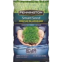 3485919 - KENTUCKY BLUEGRASS BLEND 3#