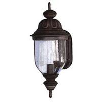 motion sensor lantern, rustic brown