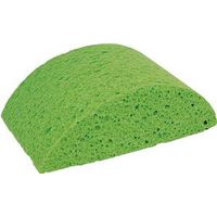 3531613 - SPONGE TURTLEBACK