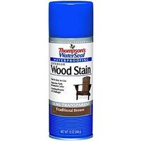 Thompsons Waters Sal Exterior Wood Stain Spray, 12 oz Traditional Brown