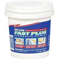 drylok fast plug 1 1/2 lb   