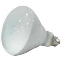 3599891 - 65W BR40 INDOOR REFLECTR FLOOD