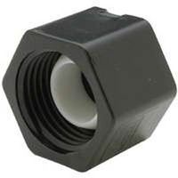 pex cap, 1in.