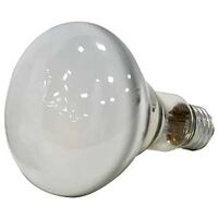 Reflector Flood Bulb Frost, 45 Watt
