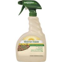 3664216 - WF WEED & GRASS KILLER 32OZ