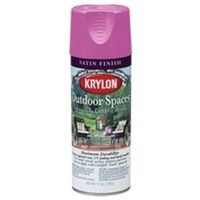 Outdoor Spaces Spray Paint, 12 oz Watermelon