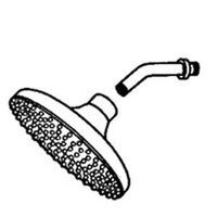 Sunflower Shower Head, 6in.