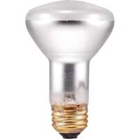 Double Life Reflector Floodlight Bulb, 45W