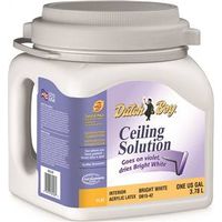 3911401 - VANISH DYE CEILING PAINT WHITE