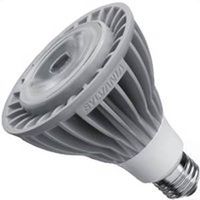 3981081 - 15W LED PAR30/LN DIMMABLE