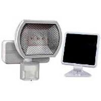 LED Security Light, White
