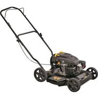 4058269 - 20IN GAS PUSH MOWER