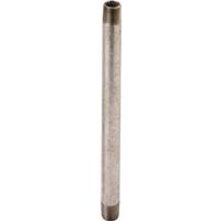 World Wide Sourcing GN 1/8X60-S Galvanized Pipe Nipples