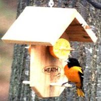 oriole feeder