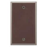 4244588 - 1G STD BROWN BLANK PLATE
