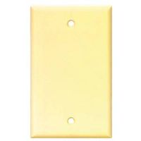 4248100 - 1G STD IVORY BLANK PLATE