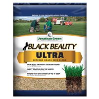 SEED GRASS ULTRA BLACK 1LB    