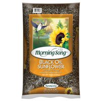 4272431 - BLACK OIL SUNFLOWER SEED 50#