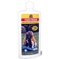 Stain and Odor Remover