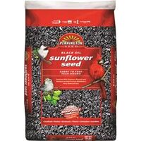 Black Oil Sunflower Seed Wild Bird Food, 10lb