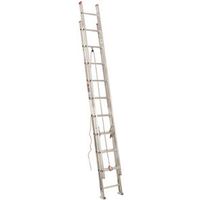 4484036 - ALUM EXT LDR TYPE3 20FT
