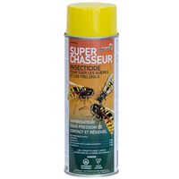 INSECTICIDE 425G OUTDR        