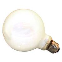 white globe bulb, 60 watt